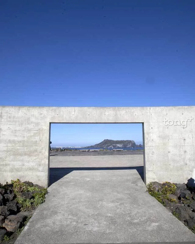 2018122780039_5.jpg?type=w1200