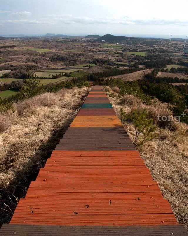 2019012380083_4.jpg?type=w1200