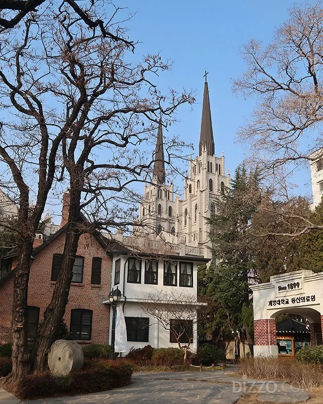 2019030780042_3.jpg?type=w1200