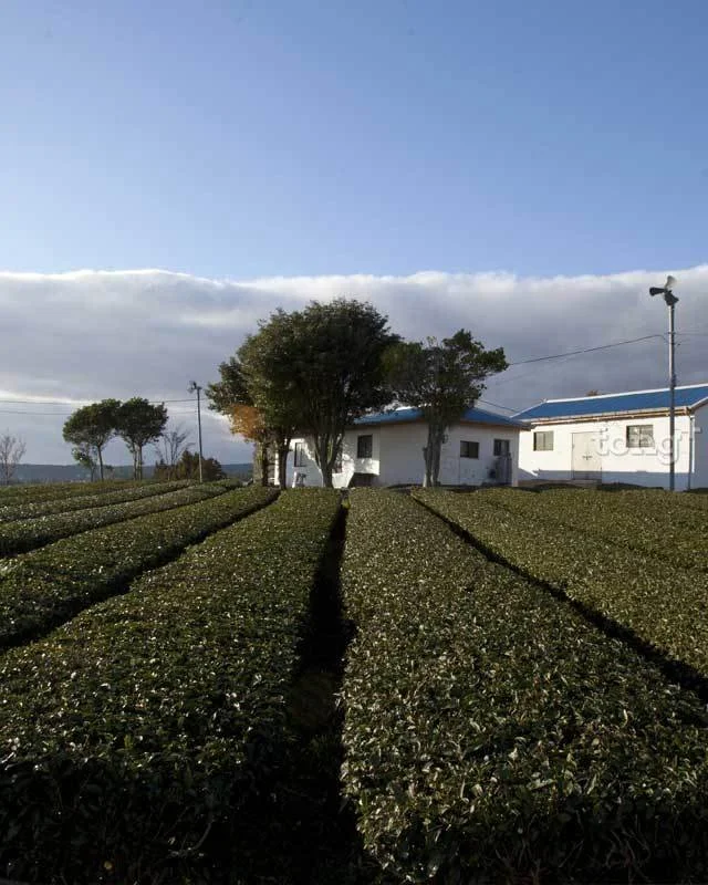 2018122780039_9.jpg?type=w1200