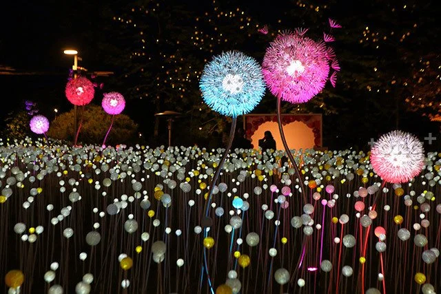 2018092001935_7.jpg?type=w1200