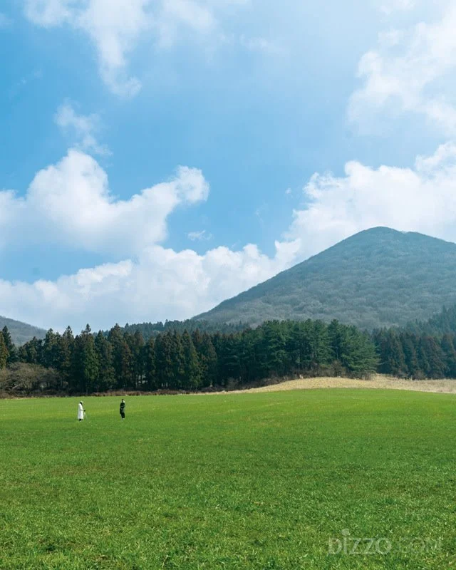 2019032980096_2.jpg?type=w1200