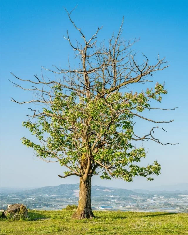 2019060380081_5.jpg?type=w1200