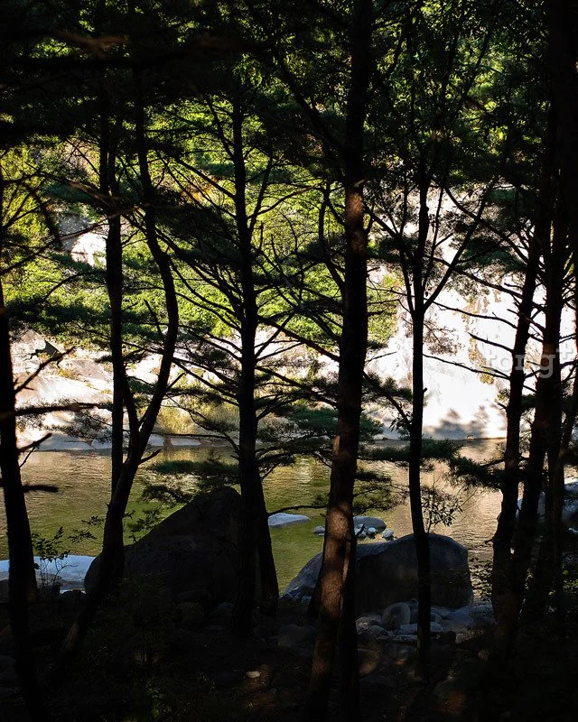 2018100802318_7.jpg?type=w1200