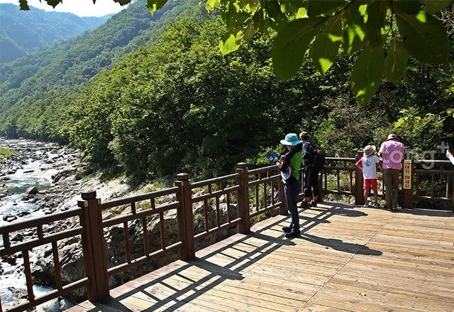 2018091201212_6.jpg?type=w1200