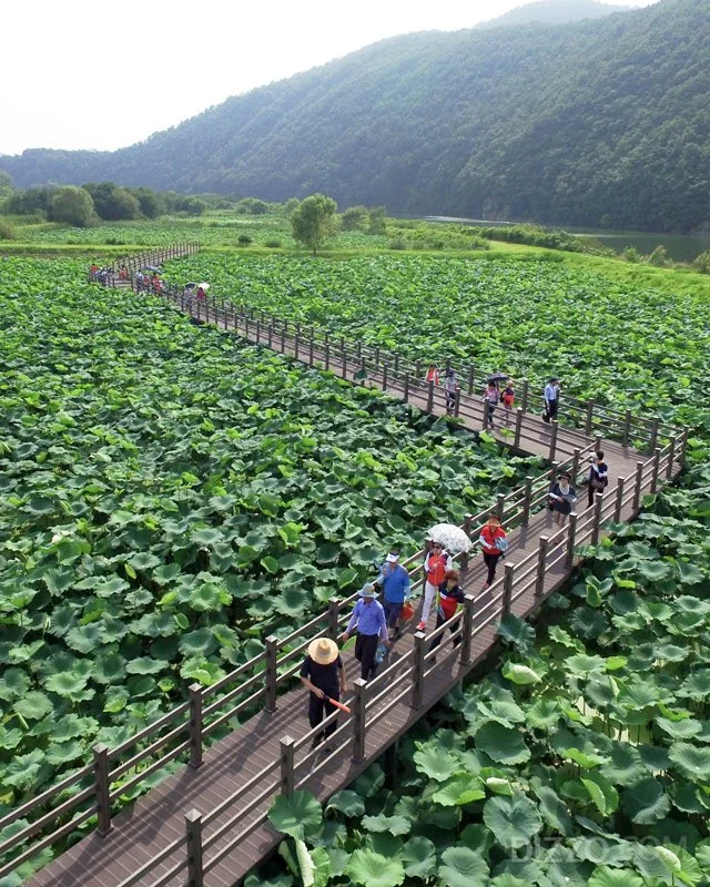 2019070480060_11.jpg?type=w1200