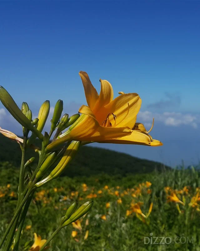 2019071580131_4.jpg?type=w1200