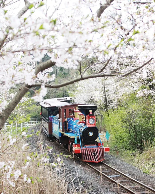 2019032980096_8.jpg?type=w1200