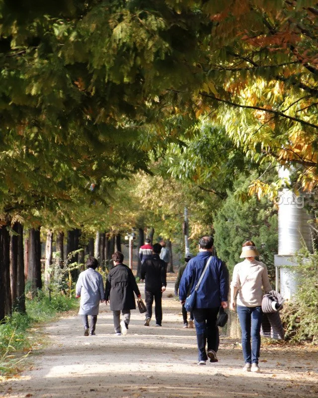 2018110102702_8.jpg?type=w1200