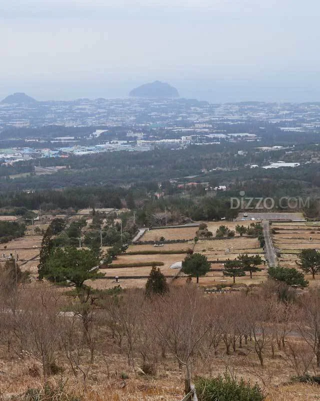 2019021880038_8.jpg?type=w1200