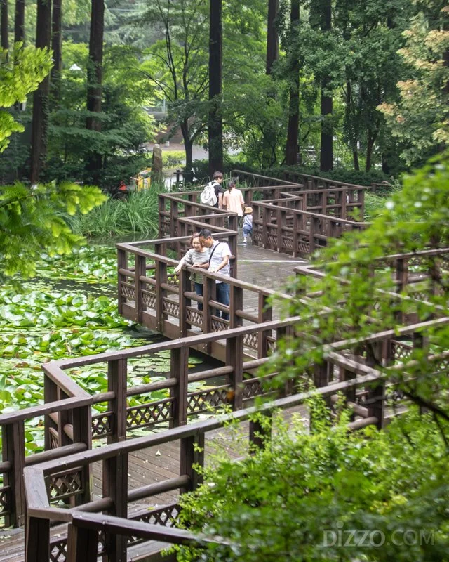 2019080180061_7.jpg?type=w1200