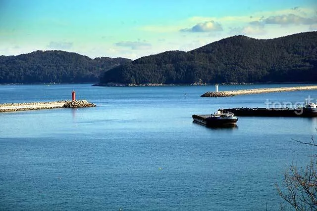 2019010980065_8.jpg?type=w1200