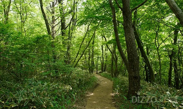 2019052280157_2.jpg?type=w1200