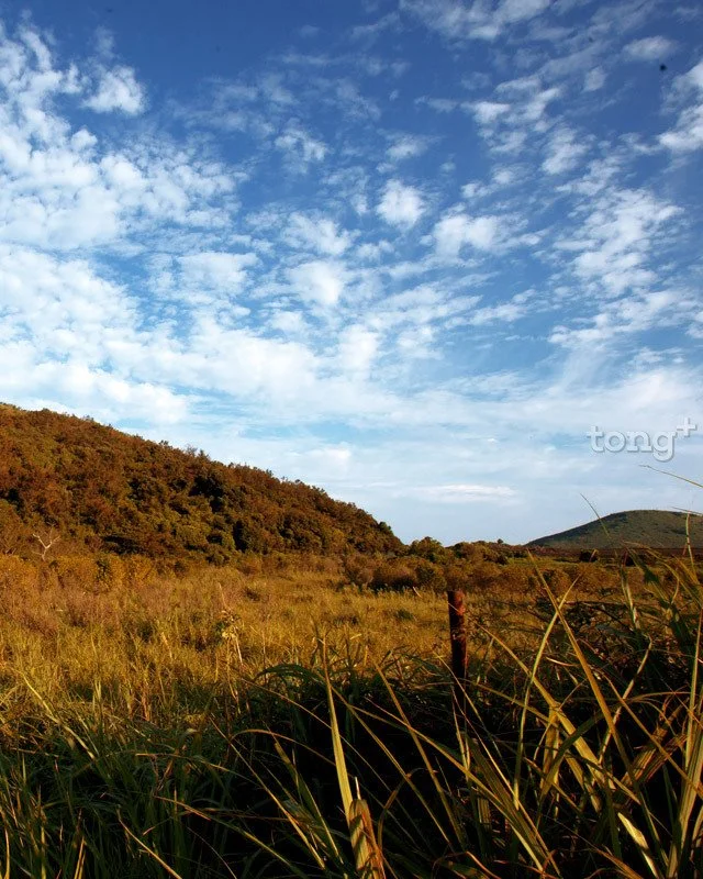 2018100402046_3.jpg?type=w1200