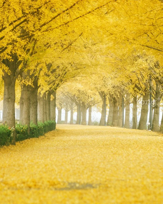 2018100802318_12.jpg?type=w1200