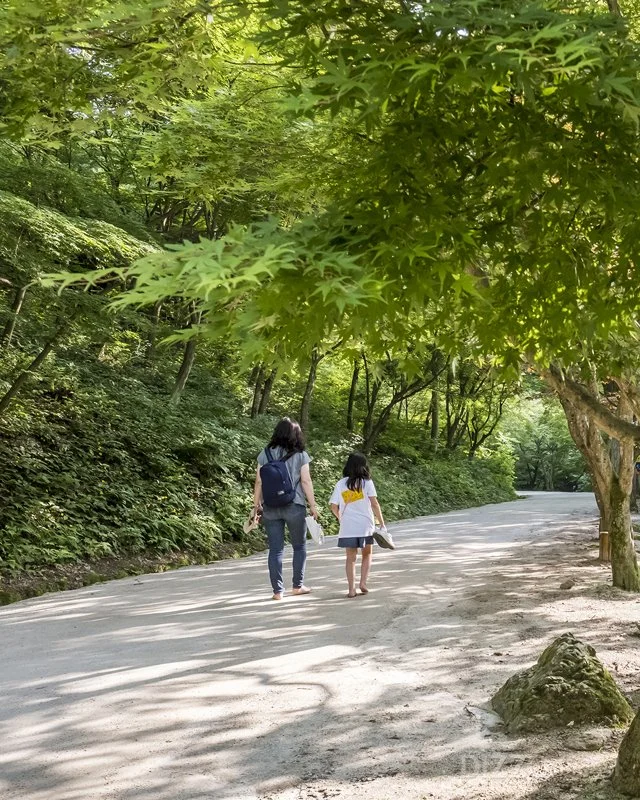 2019072580172_7.jpg?type=w1200