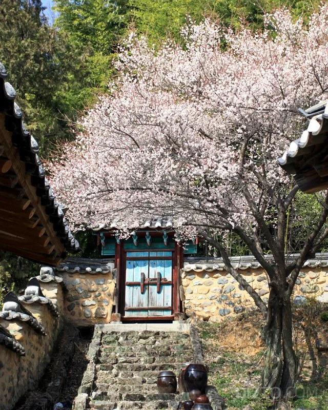 2019030780042_6.jpg?type=w1200