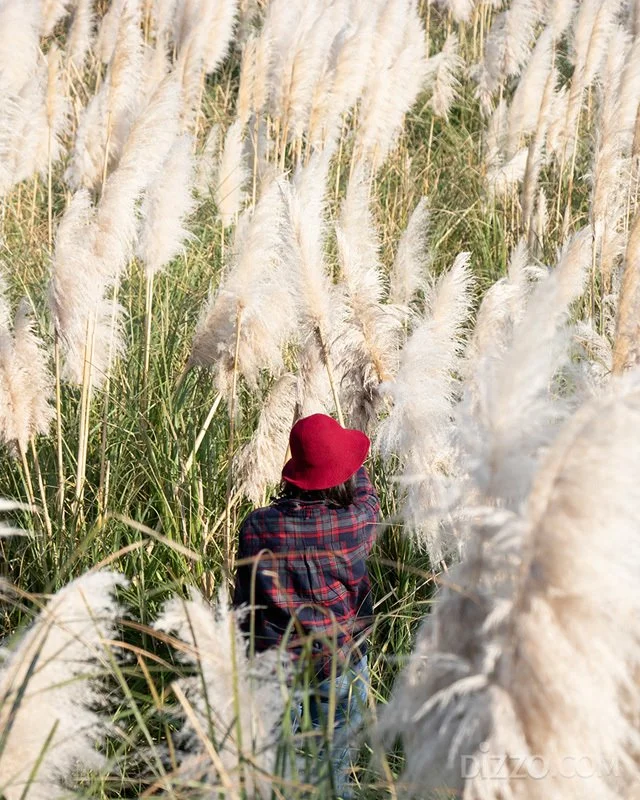 2019112080113_6.jpg?type=w1200