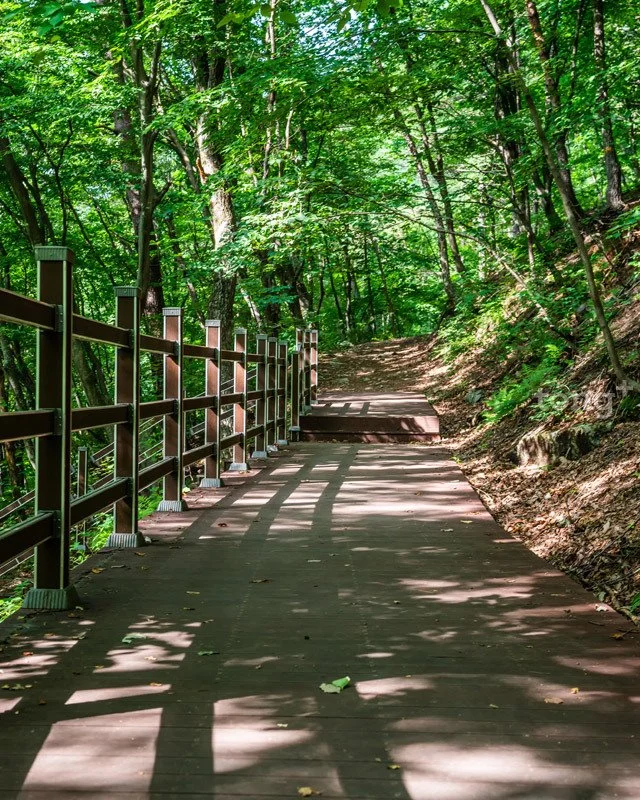 2018080700825_5.jpg?type=w1200