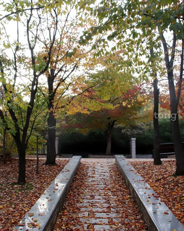 2018110102702_9.jpg?type=w1200