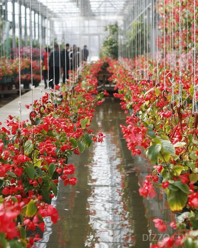 2019032980138_7.jpg?type=w1200