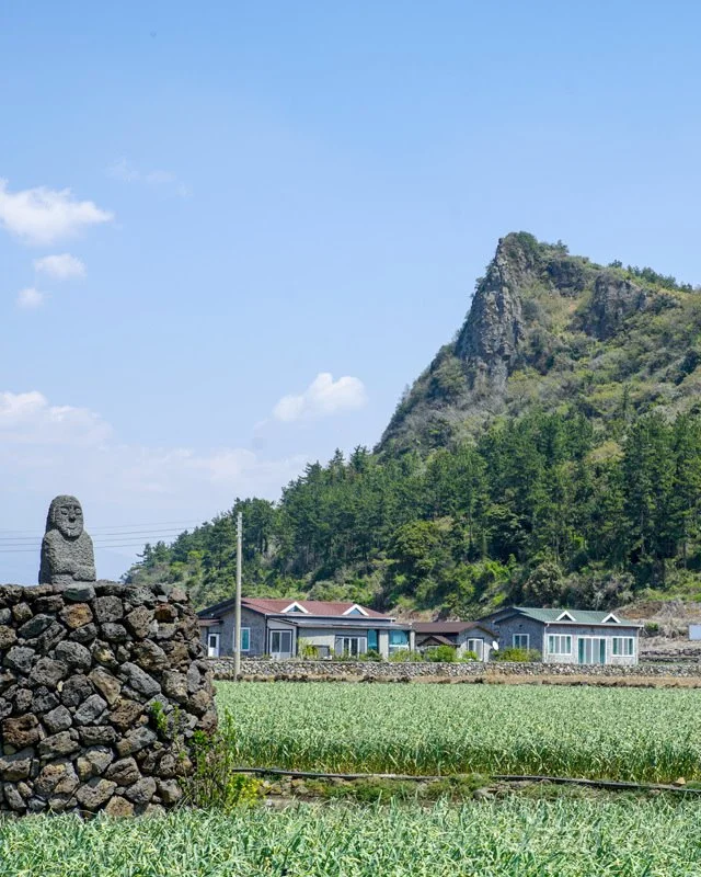 2019042380147_4.jpg?type=w1200