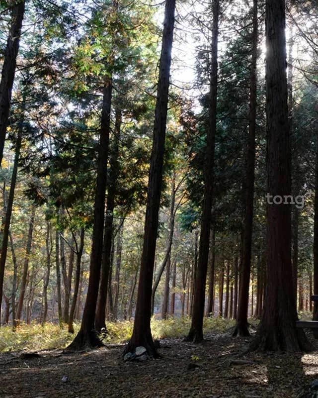 2018120501415_3.jpg?type=w1200