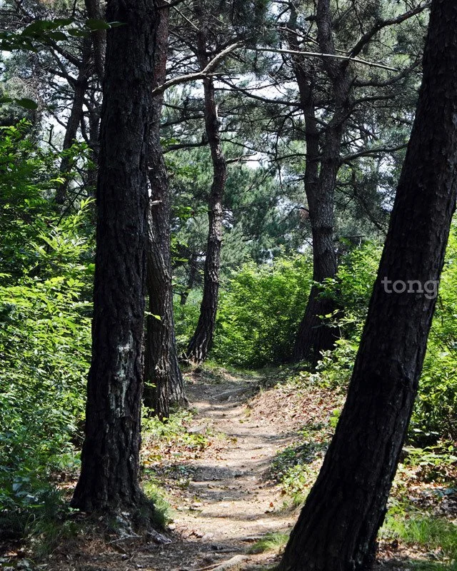 2018080700825_6.jpg?type=w1200