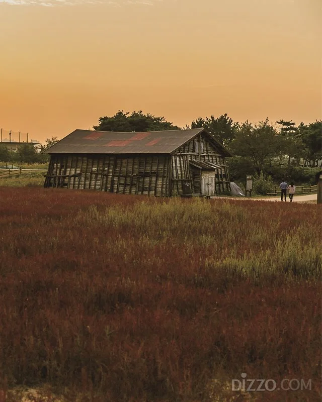 2019073080163_0.jpg?type=w1200