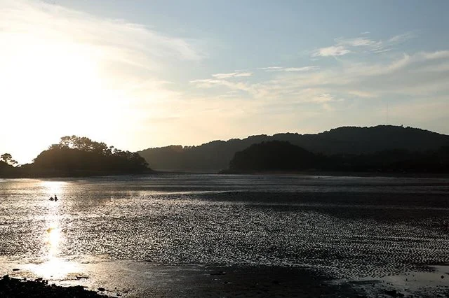 1.%EC%9E%90%EC%9B%94%EB%8F%84.jpg?type=w1200