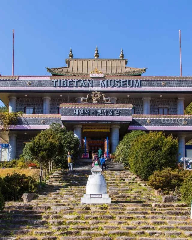 2018112801079_14.jpg?type=w1200