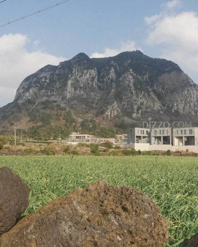 2019021880038_7.jpg?type=w1200