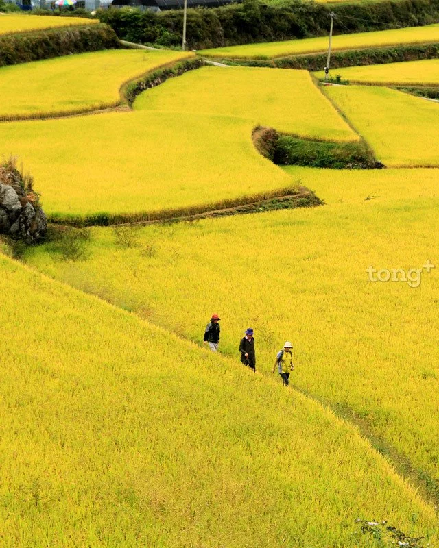 2018100102183_6.jpg?type=w1200