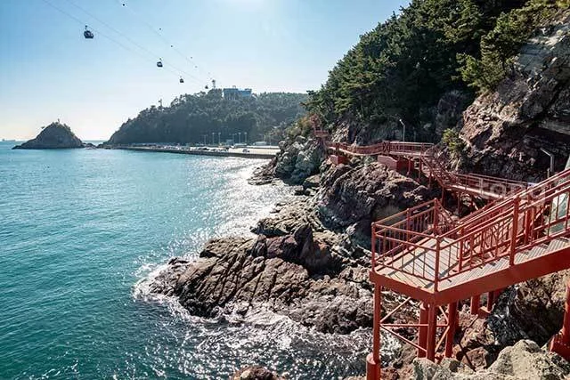 2019010980065_0.jpg?type=w1200