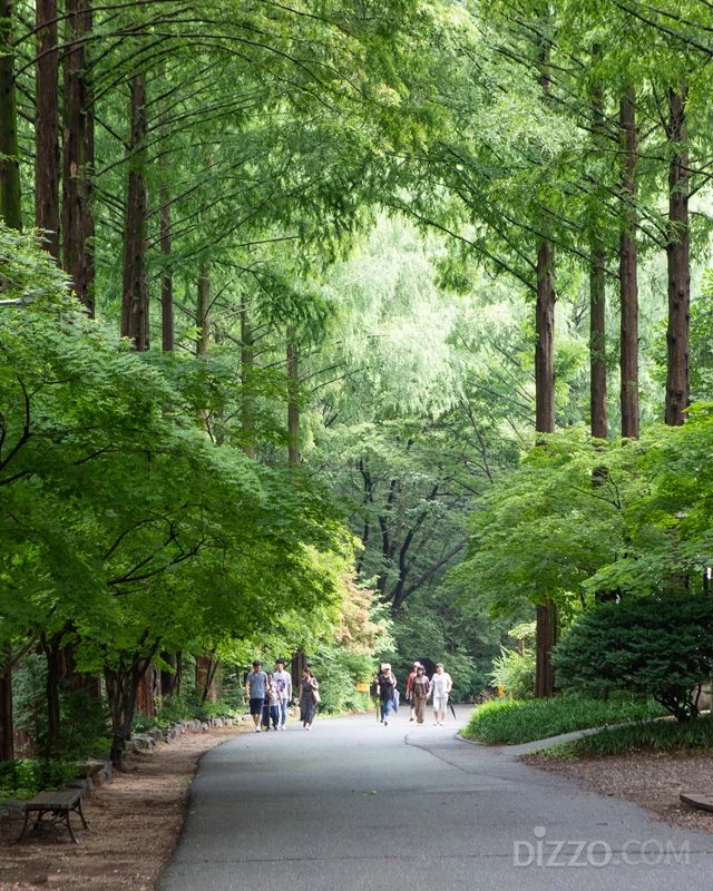 2019080180061_6.jpg?type=w1200