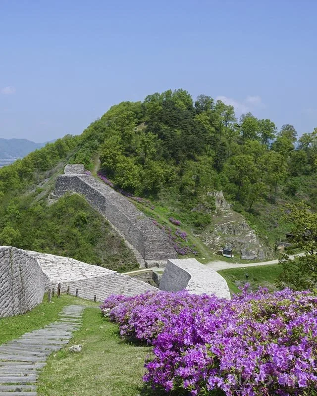 2019060380081_7.jpg?type=w1200