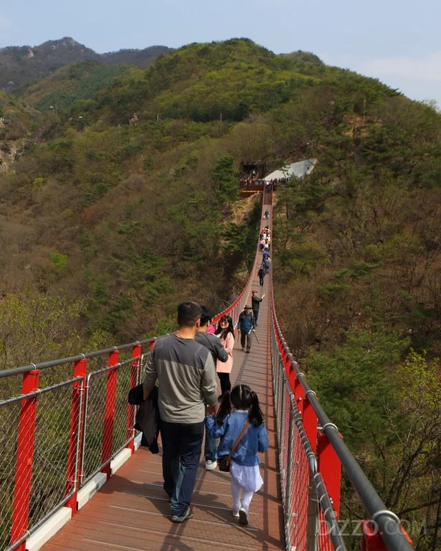 2019042680141_7.jpg?type=w1200