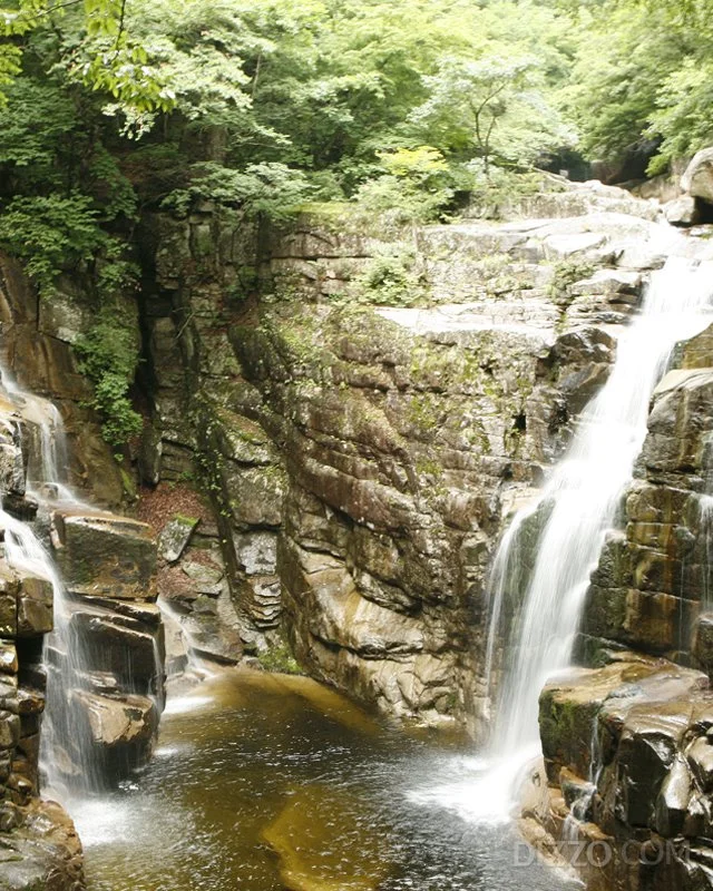 2019072580172_1.jpg?type=w1200