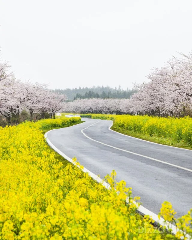 2019032980096_1.jpg?type=w1200