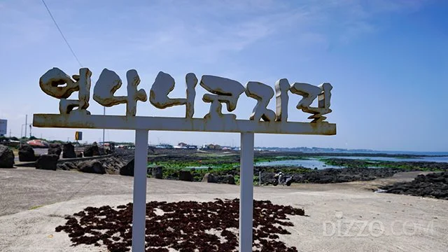 2019052280157_5.jpg?type=w1200