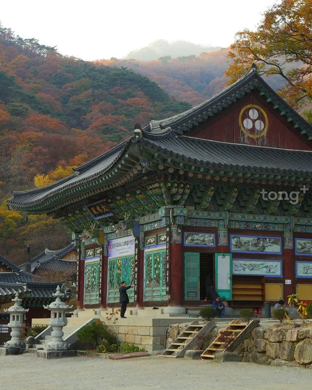 2018100402436_3.jpg?type=w1200