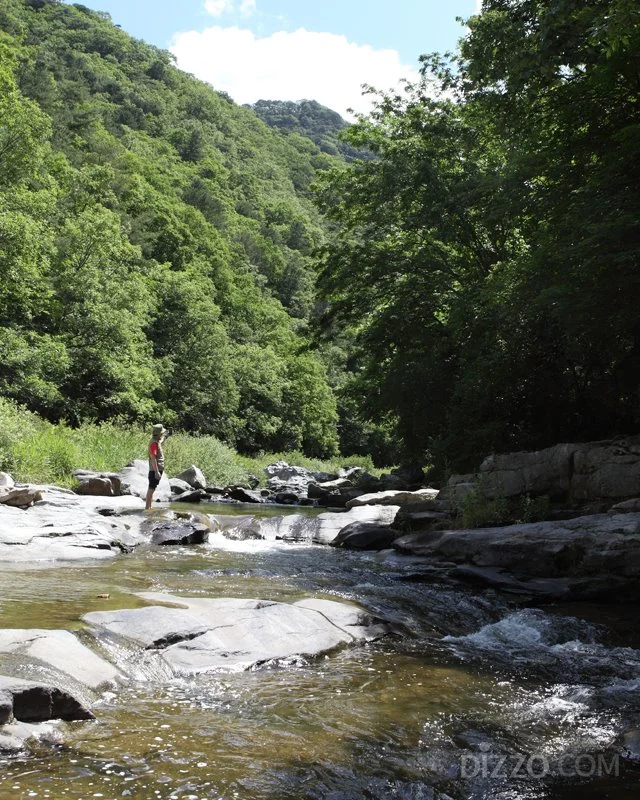 2019070980118_5.jpg?type=w1200