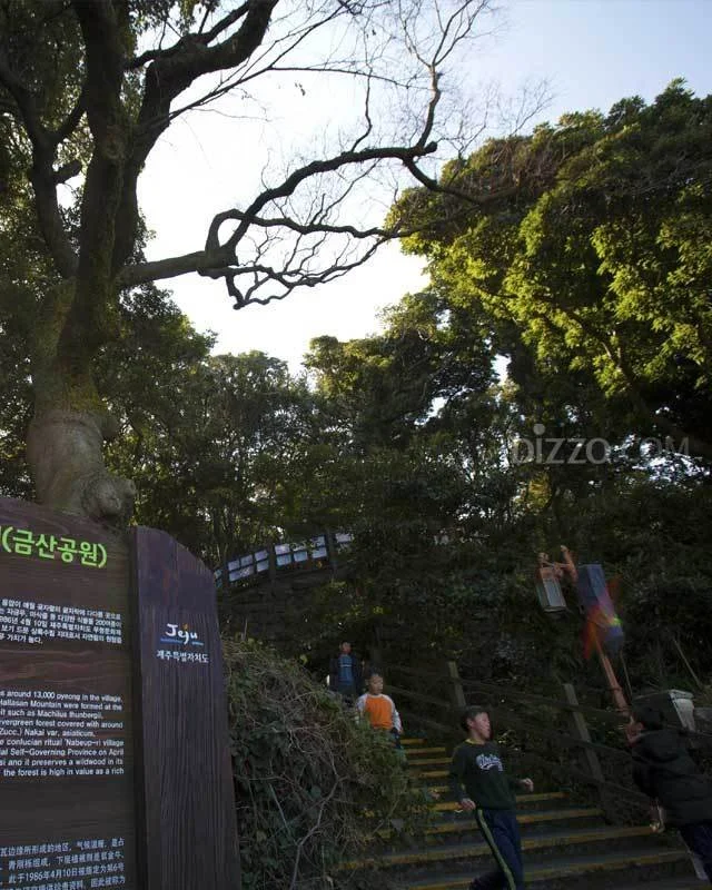 2019022080071_5.jpg?type=w1200