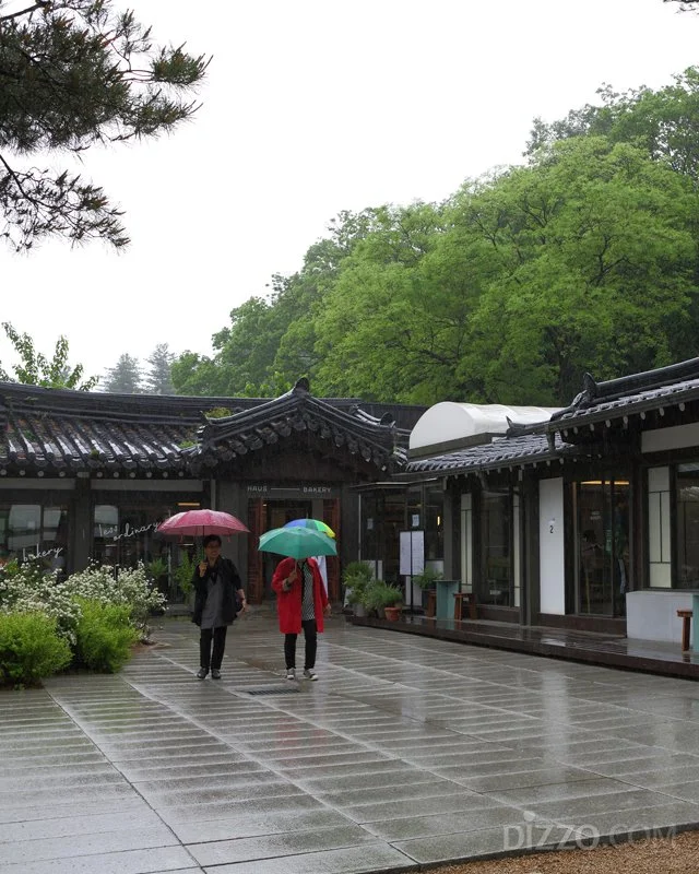 2019053180054_4.jpg?type=w1200