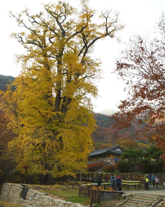 2018100402436_2.jpg?type=w1200