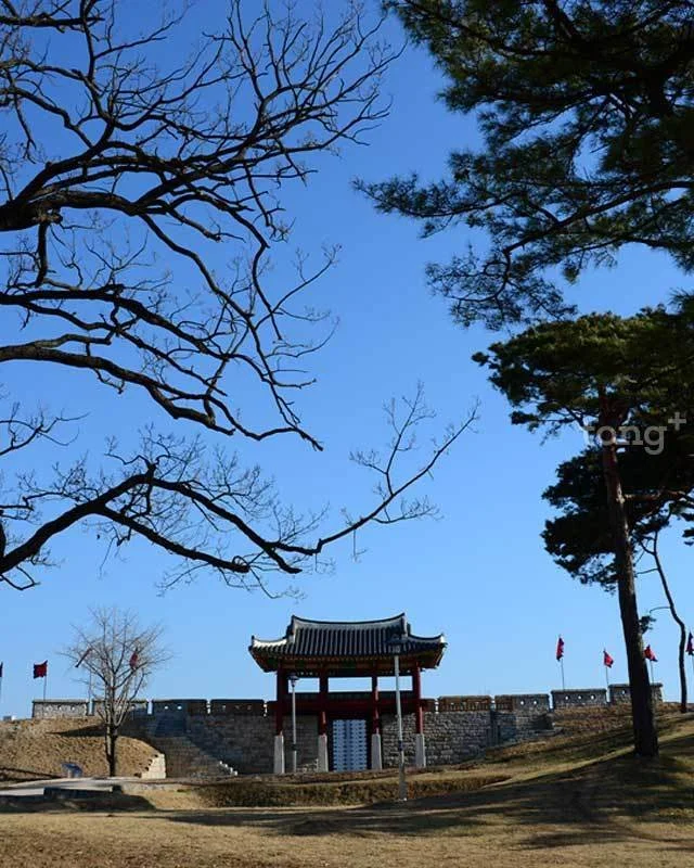 2018120501415_10.jpg?type=w1200