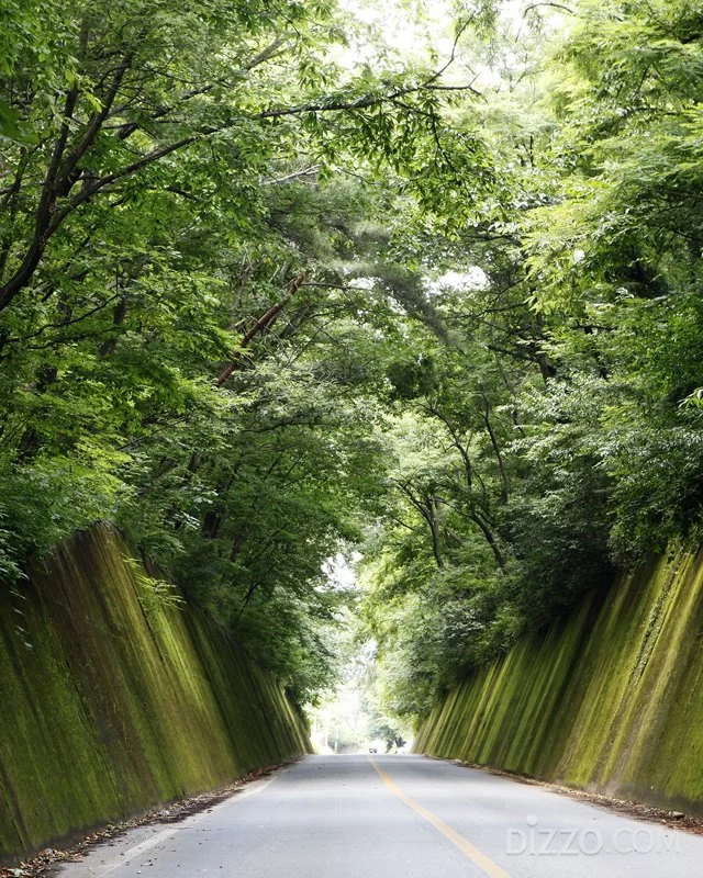 2019072580172_3.jpg?type=w1200