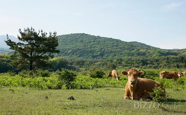 2019052280157_3.jpg?type=w1200