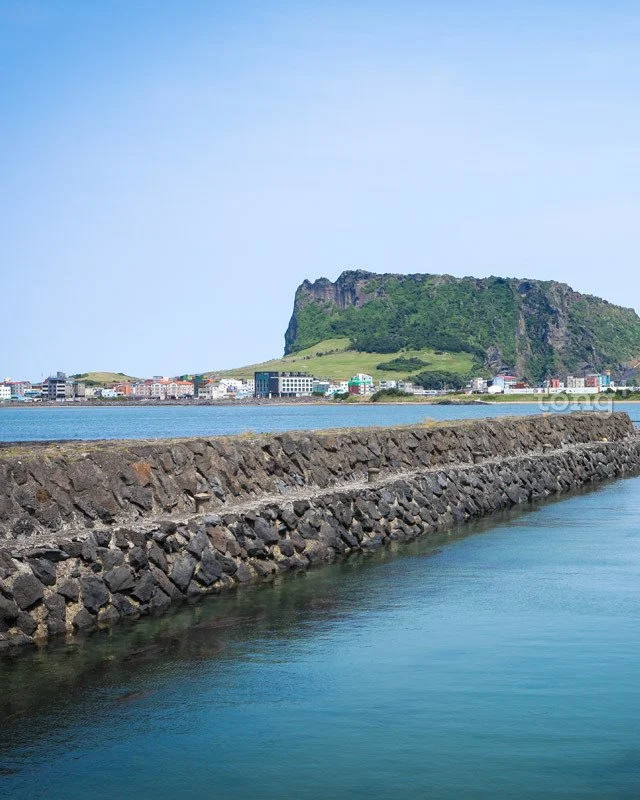 2018102301001_5.jpg?type=w1200