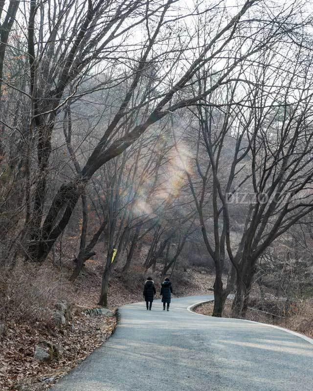 2019022780139_3.jpg?type=w1200